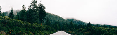 Naviate Landscape