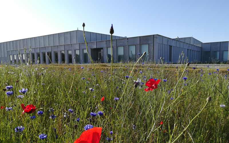 Skräddarsydd Autodesk Revit-lösning för flytt av danska Kungliga biblioteket